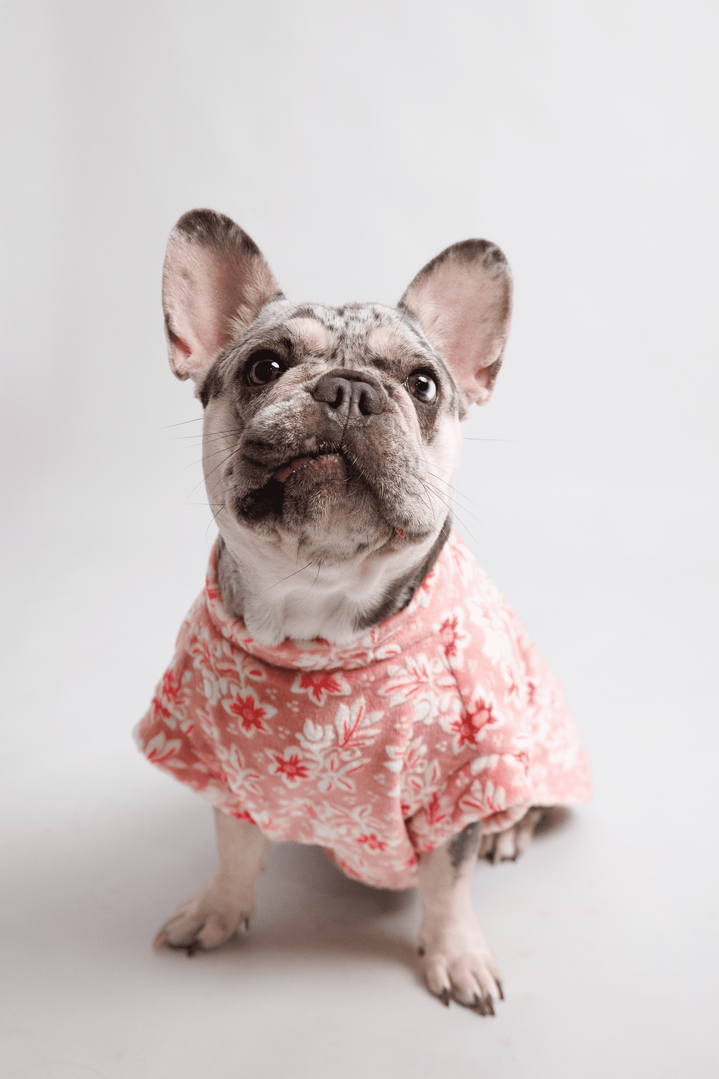 Ropa para Perro Flores Rosadas