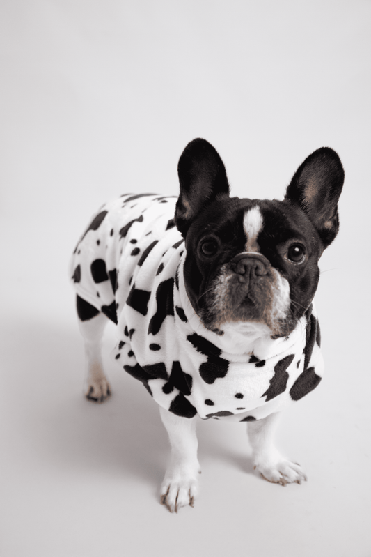 Ropa para Perro Vaca