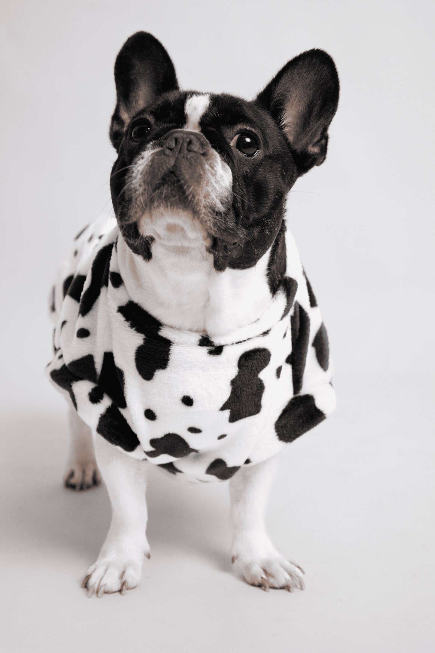 Ropa para Perro Vaca