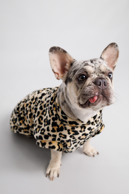 Ropa para Perro Leopardo