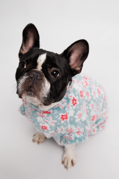 Ropa para Perro Flores Celestes