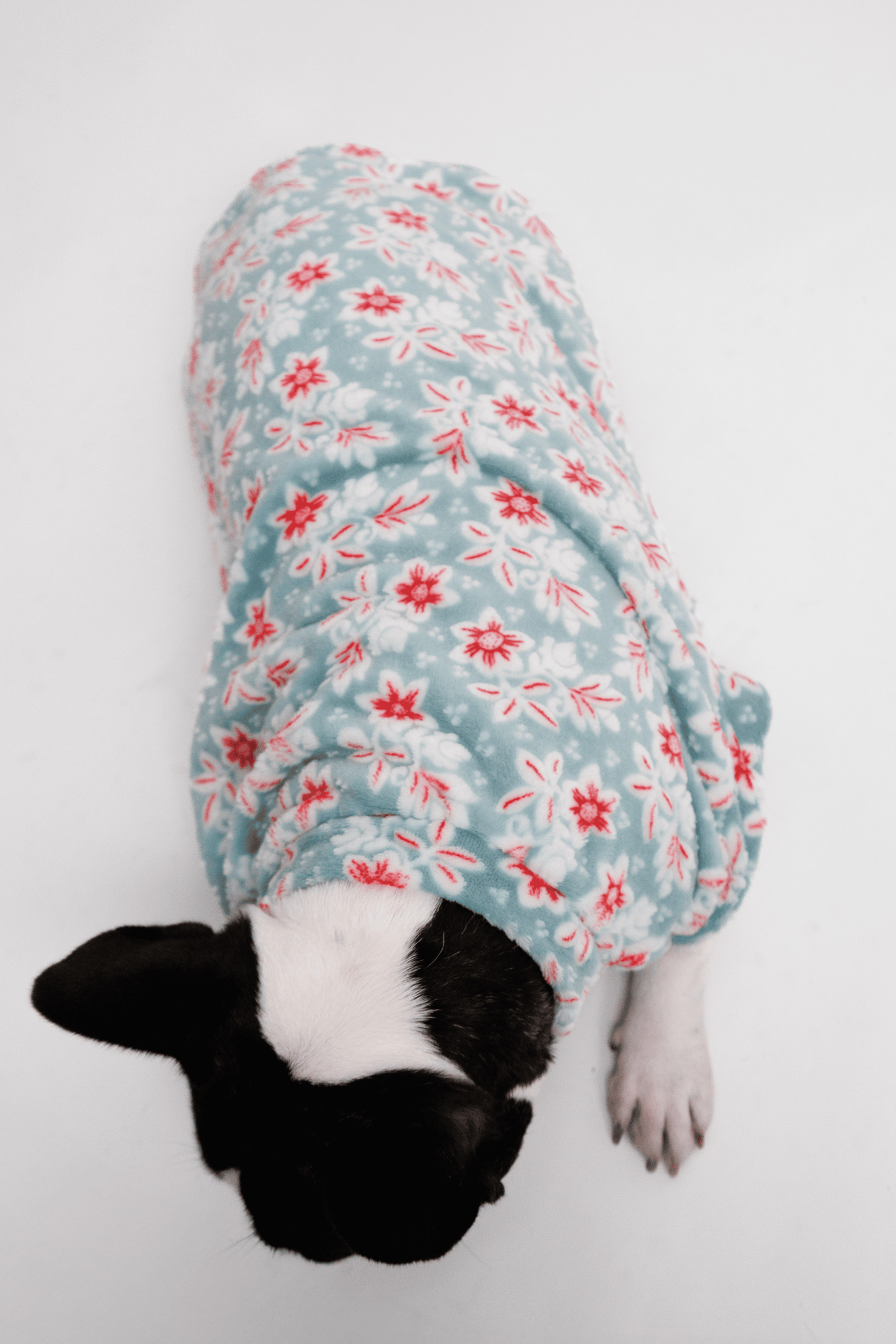 Ropa para Perro Flores Celestes