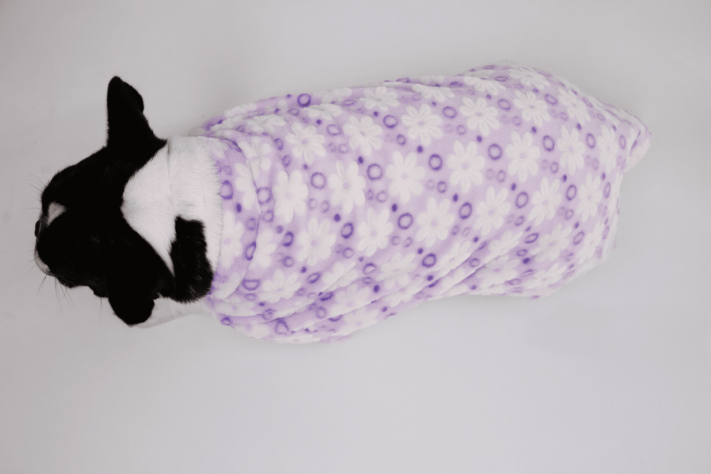 Ropa para Perro Flores Lilas
